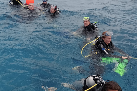 Bootduik Jane Sea Shipwreck 1 Tanks