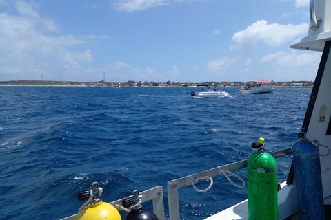 Inmersión en barco Jane Sea Naufragio 1 Tanque