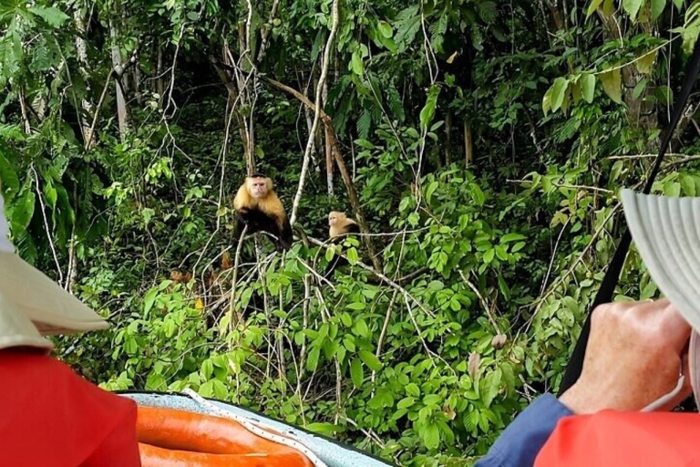 Salidas por la ciudad: Aventura en la selva de PanamáVisita privada