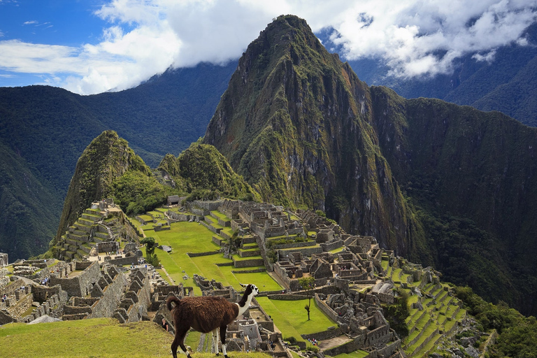 Sacred Valley + Machu Picchu With trains 2D/1N