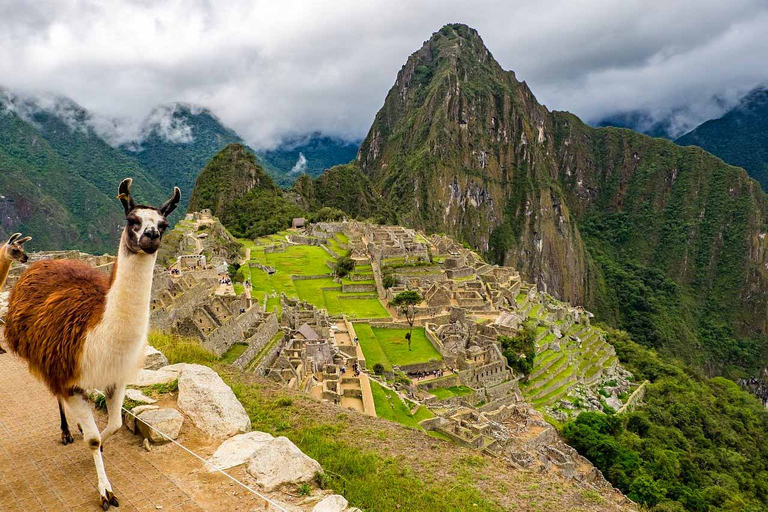 Sacred Valley + Machu Picchu With trains 2D/1N