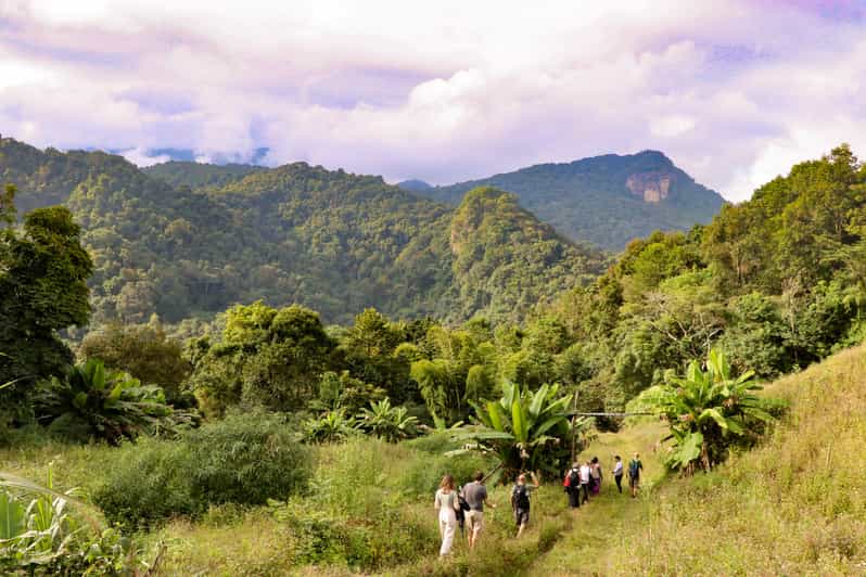 Chiang Mai: Doi Inthanon Highlights and Hiking Private Tour