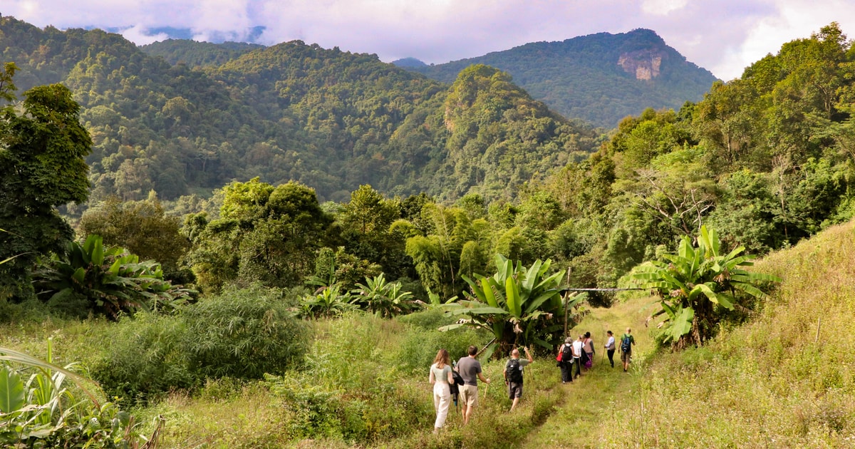 Chiang Mai Doi Inthanon Highlights And Hiking Private Tour Getyourguide