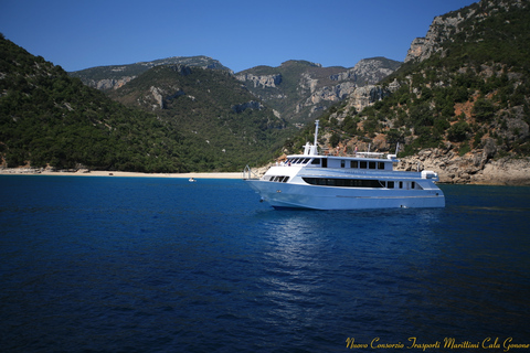 From La Caletta or Orosei: Gulf of Orosei Cruise Orosei: Gulf Day Trip by Boat