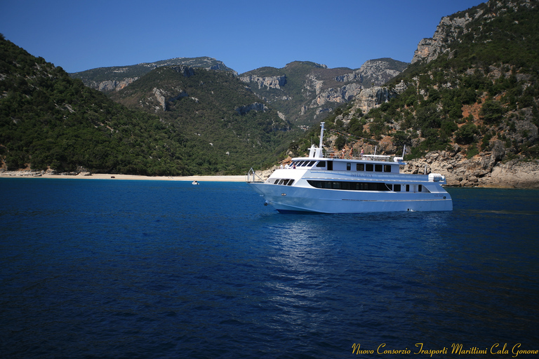 From La Caletta or Orosei: Gulf of Orosei Cruise Orosei: Gulf Day Trip by Boat