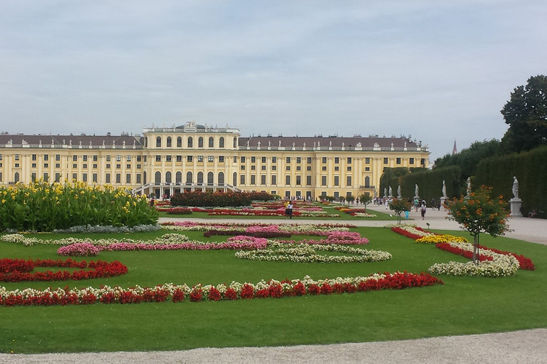 Vienna: Schönbrunn Palace and City Center Guided Tour