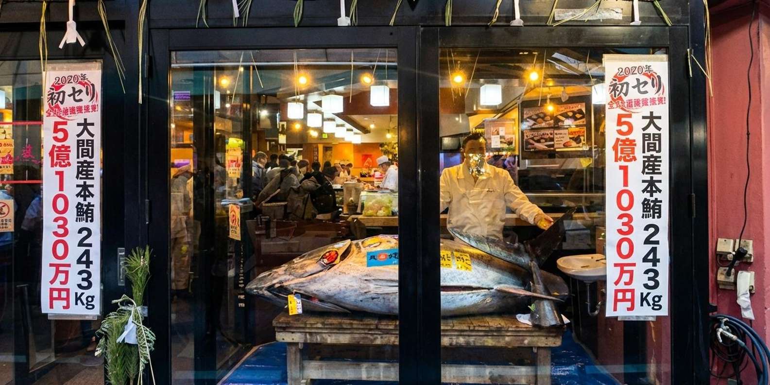Toyosu fish market tour — tuna auction, wholesale hall and Tsukiji outer market — image 9