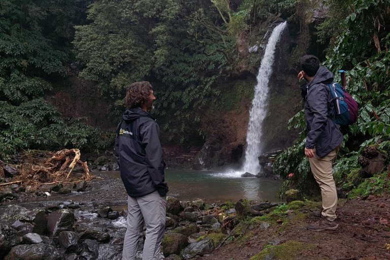 Lomba de São Pedro: wycieczka piesza po wodospadzie z degustacją herbaty