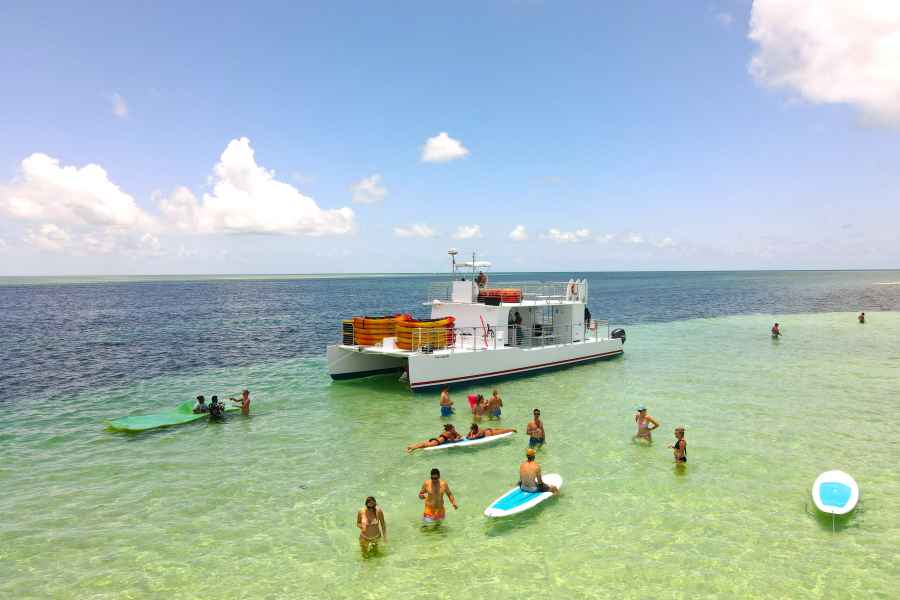 Von Key West aus: Delphinbeobachtungstour mit Mittagessen und Getränken. Foto: GetYourGuide