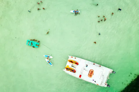 From Key West: Dolphin Watching Tour with Lunch & Drinks