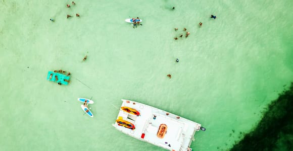 From Key West: Dolphin Watching Tour with Lunch & Drinks