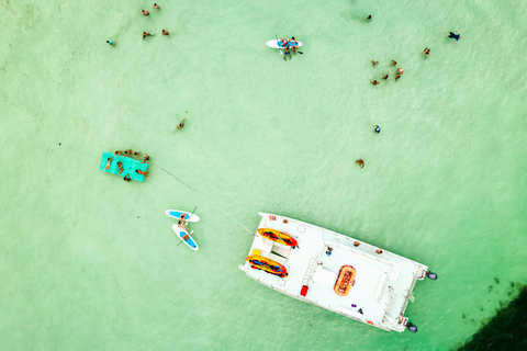 Epic Sandbar Safari With Dolphin Playground Experience