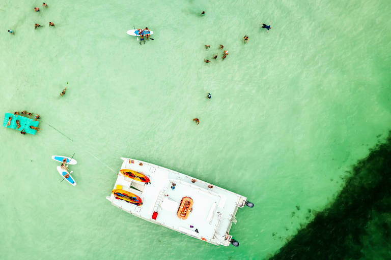 From Key West: Dolphin Watching Tour with Lunch &amp; Drinks