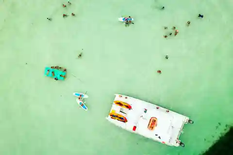 From Key West: Dolphin Watching Tour with Lunch & Drinks