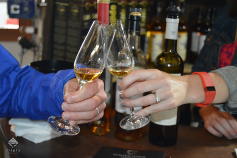 Pico Wine Tour: Get to know Pico's wines