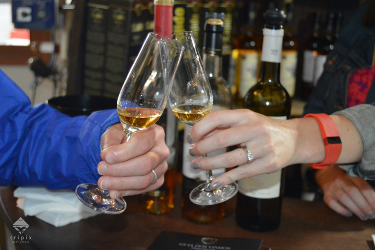 Pico Wine Tour: Get to know Pico's wines