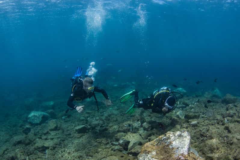 Lanzarote 2dive package in Playa Blanca certified divers GetYourGuide