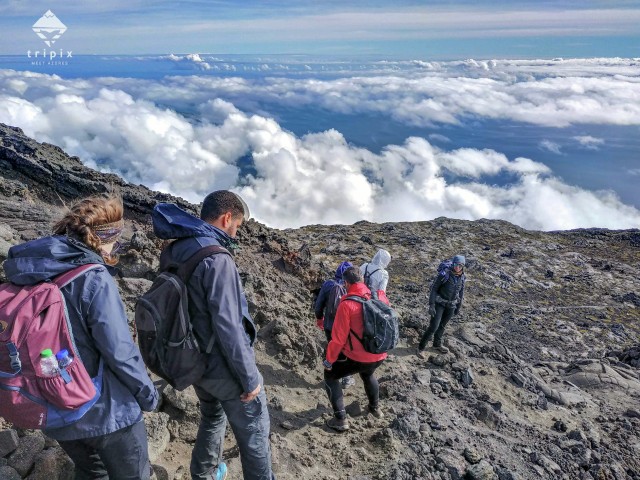 Visit Climb Mount Pico with a Professional Guide in Isla de Pico