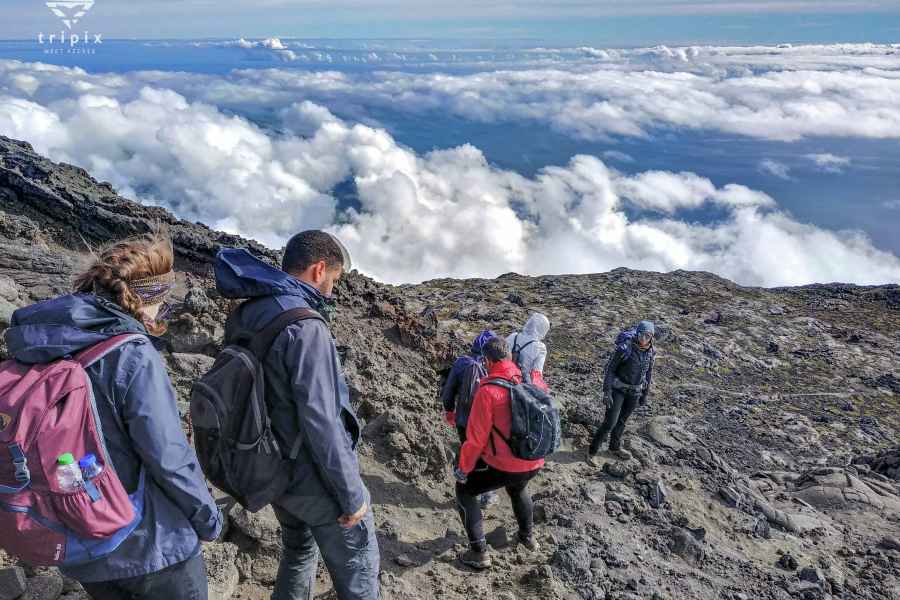 Besteige den Mount Pico mit einem professionellen Führer. Foto: GetYourGuide