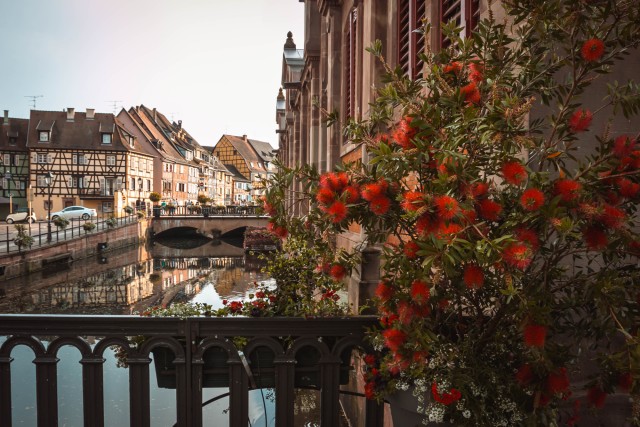 Visit Colmar City Exploration Game and Tour in Colmar, France