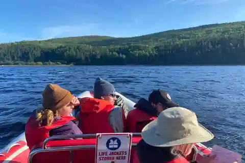 Au départ de Corner Brook : Tour en bateau zodiac de l'île Bay Of Islands