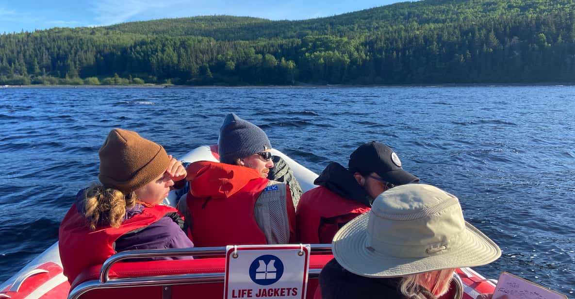 From Corner Brook Bay Of Islands Island Zodiac Boat Tour GetYourGuide