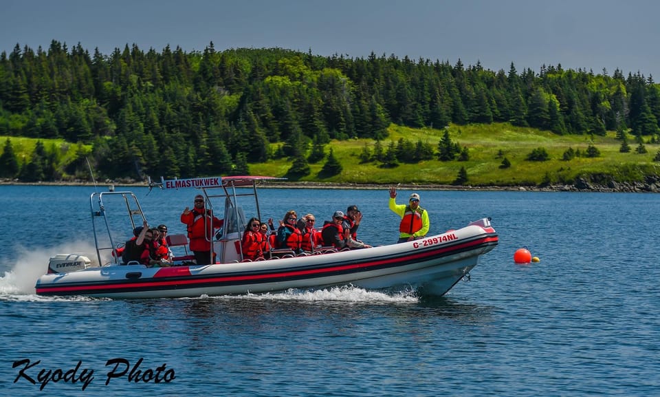From Benoit's Cove Island Zodiac Boat Tour GetYourGuide