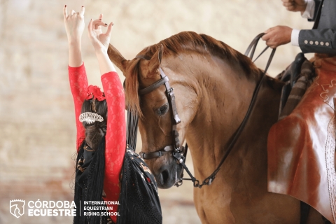 Pokaz jeździecki w Kordobie