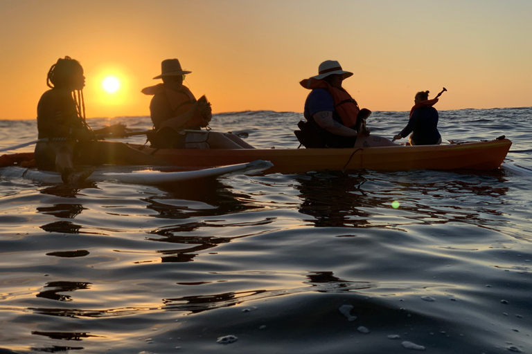 Mismaloya: Los Arcos Bioluminescent Waters Kayak & Cave Tour Los Arcos Bioluminescence Kayak & Paddle - Sunrise Tour
