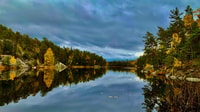 Stockholm, Nature Reserve Hiking Tour with Campfire Lunch - Housity