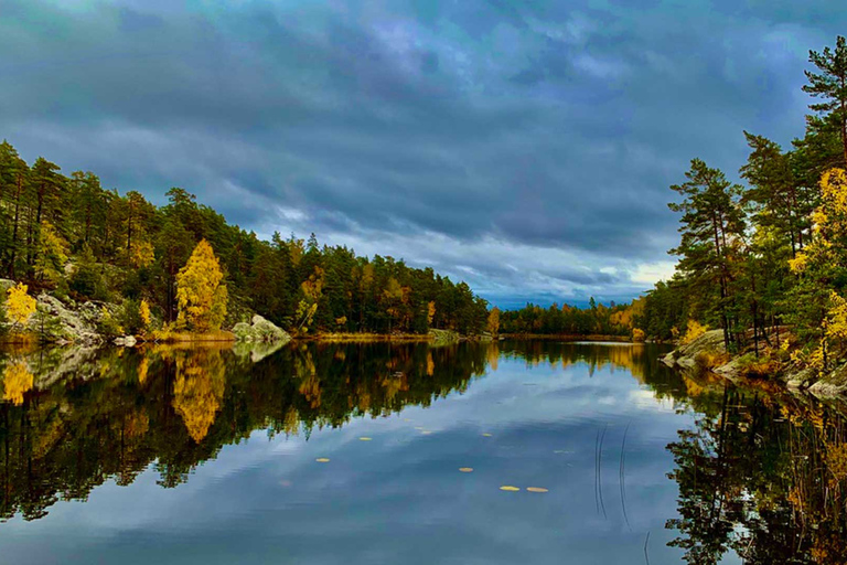 Stockholm: Nature Reserve Hiking Tour with Campfire Lunch