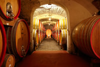 Pedemonte, visite de Valpolicella et dégustation de 4 vins régionaux - Hizvo