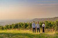 Pedemonte, visite de Valpolicella et dégustation de 4 vins régionaux - Hizvo