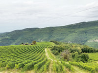 Pedemonte, visite de Valpolicella et dégustation de 4 vins régionaux - Hizvo