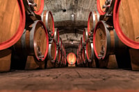 Pedemonte, tour in cantina e degustazione di 3 vini della Valpolicella - Hizvo