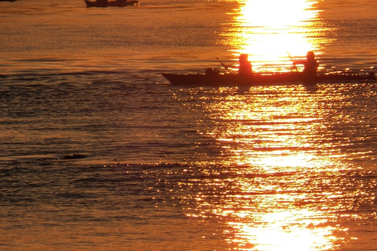 Miami Excursión de pesca de pavón en kayak-Miami Pelican Harbor