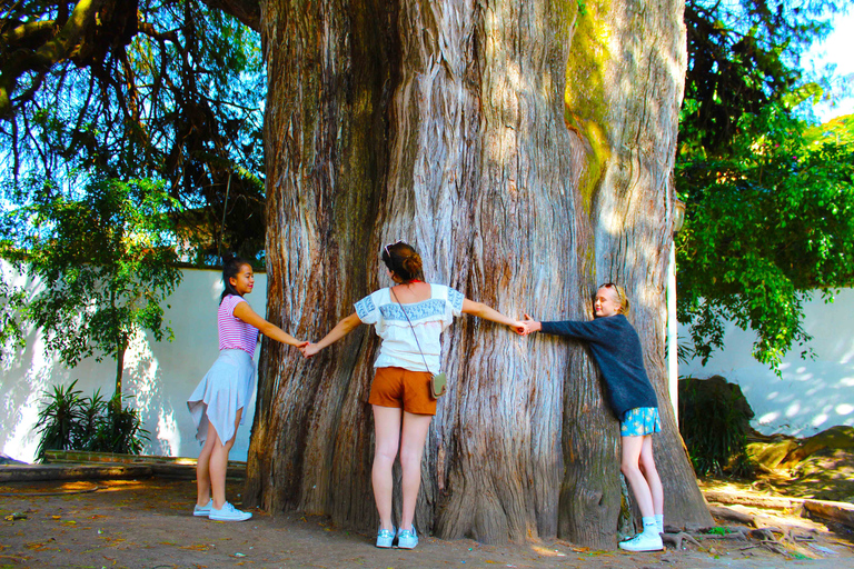 Valle de Bravo: Half-Day Guided City Tour by Van