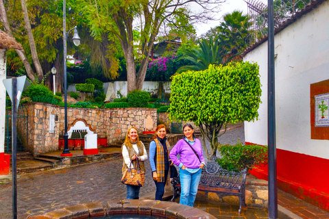 Valle de Bravo: Half-Day Guided City Tour by Van