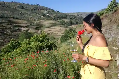 From Porto: Tastings at 2 Wineries, Chef's Lunch & Boat Tour