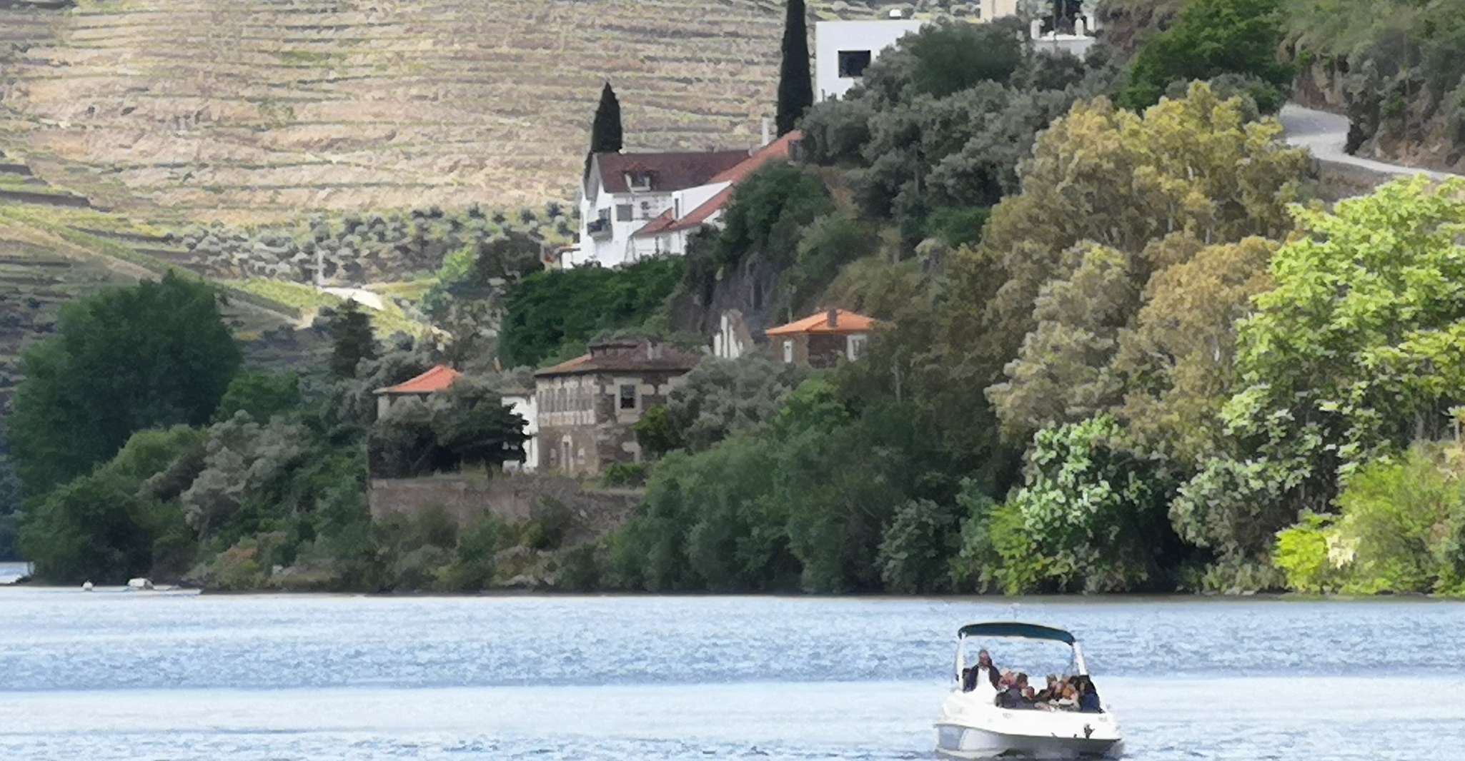 De Porto, Croisière privée Douro, 2 caves et déjeuner du Chef - Hizvo