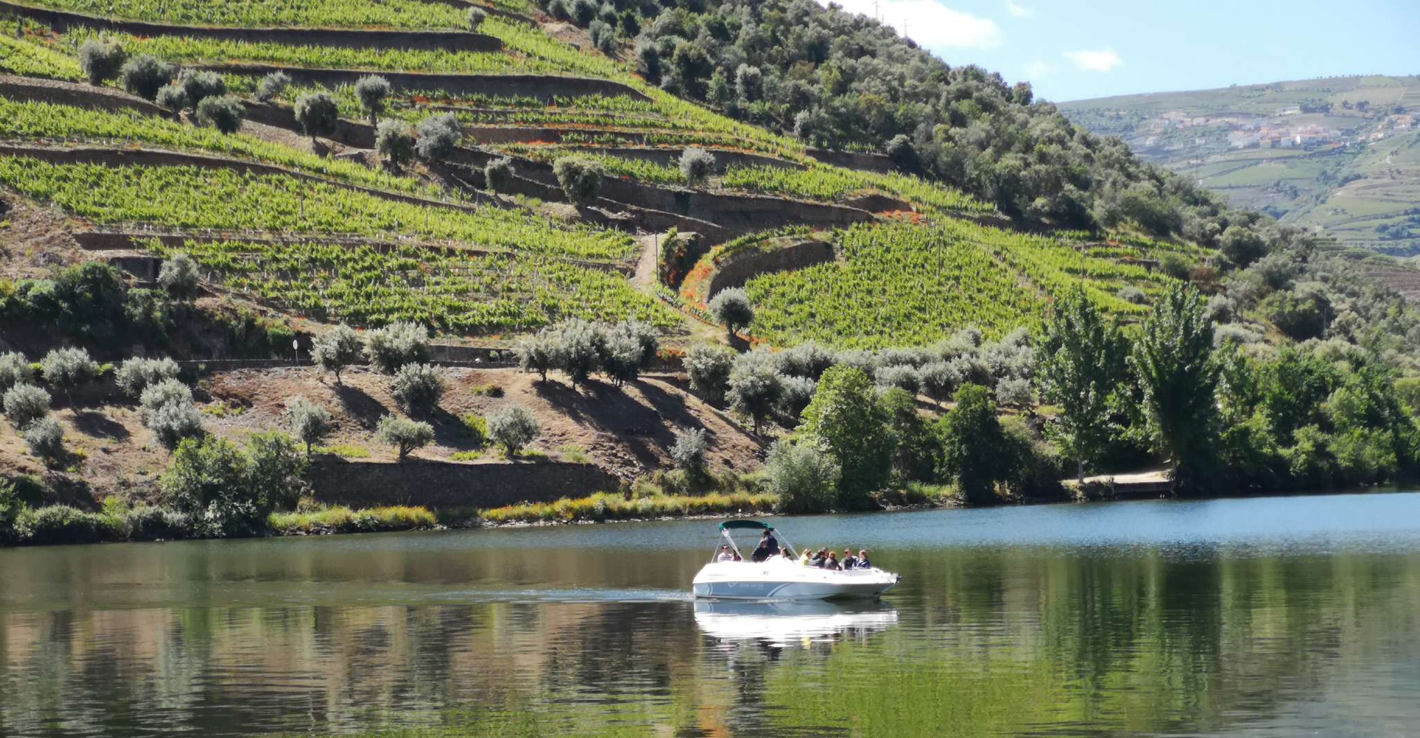 De Porto, Croisière privée Douro, 2 caves et déjeuner du Chef - Hizvo