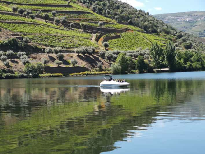 From Porto Douro Valley Cruise With Winery Visit And Lunch Getyourguide