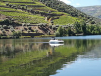 Von Porto, private Douro-Kreuzfahrt, 2 Weinkellereien & Küchenessen - Hizvo