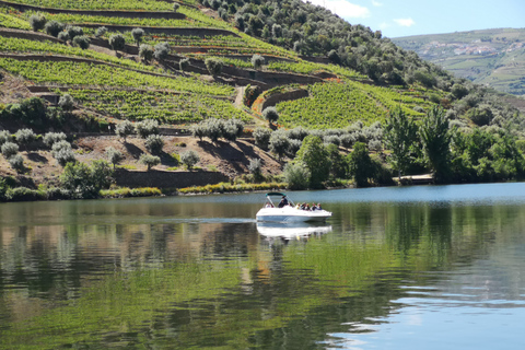 11WineTastings,PrivateBoat,FarmtoTableChef,GardenLunch,WSET2