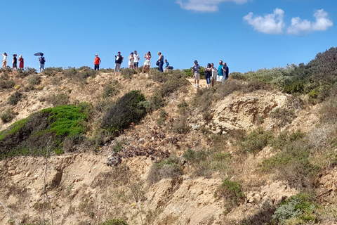 Tour della città di Lagos e escursione in barca a Ponta da Piedade di mezza giornataTour privato di mezza giornata di Lagos e Ponta da Piedade