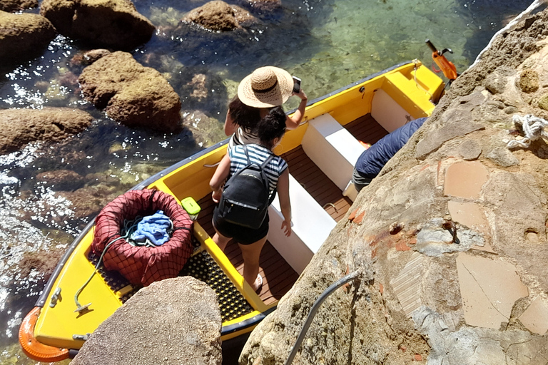 Tour della città di Lagos e escursione in barca a Ponta da Piedade di mezza giornataTour privato di mezza giornata di Lagos e Ponta da Piedade