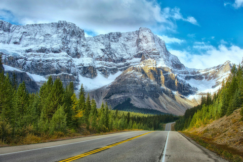 Columbia Icefield, Glacier Adventure & Skywalk Premium Tour