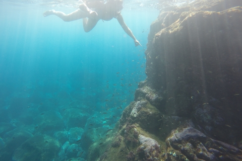 Madeira: Meeresschutzgebiet Garajau Schnorcheltour
