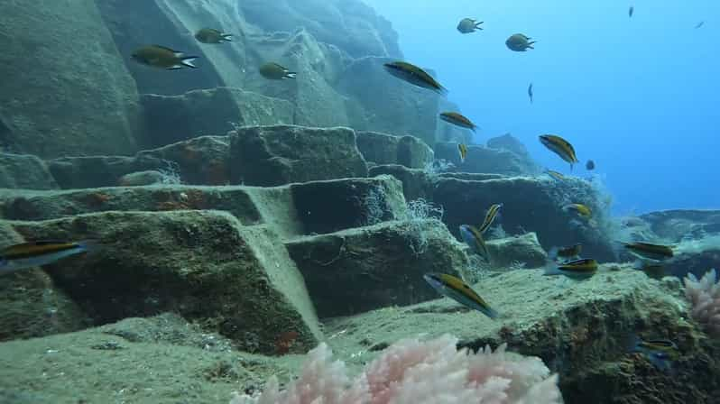 Madeira: Garajau Marine Reserve Guided Snorkeling Tour | GetYourGuide