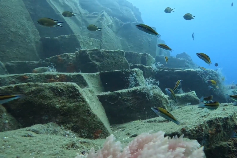 Madera: nurkowanie z rurką w rezerwacie morskim Garajau